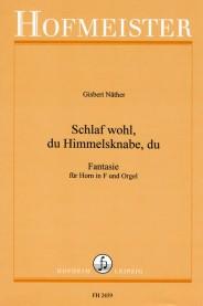 Schlaf wohl, du Himmelsknabe, du